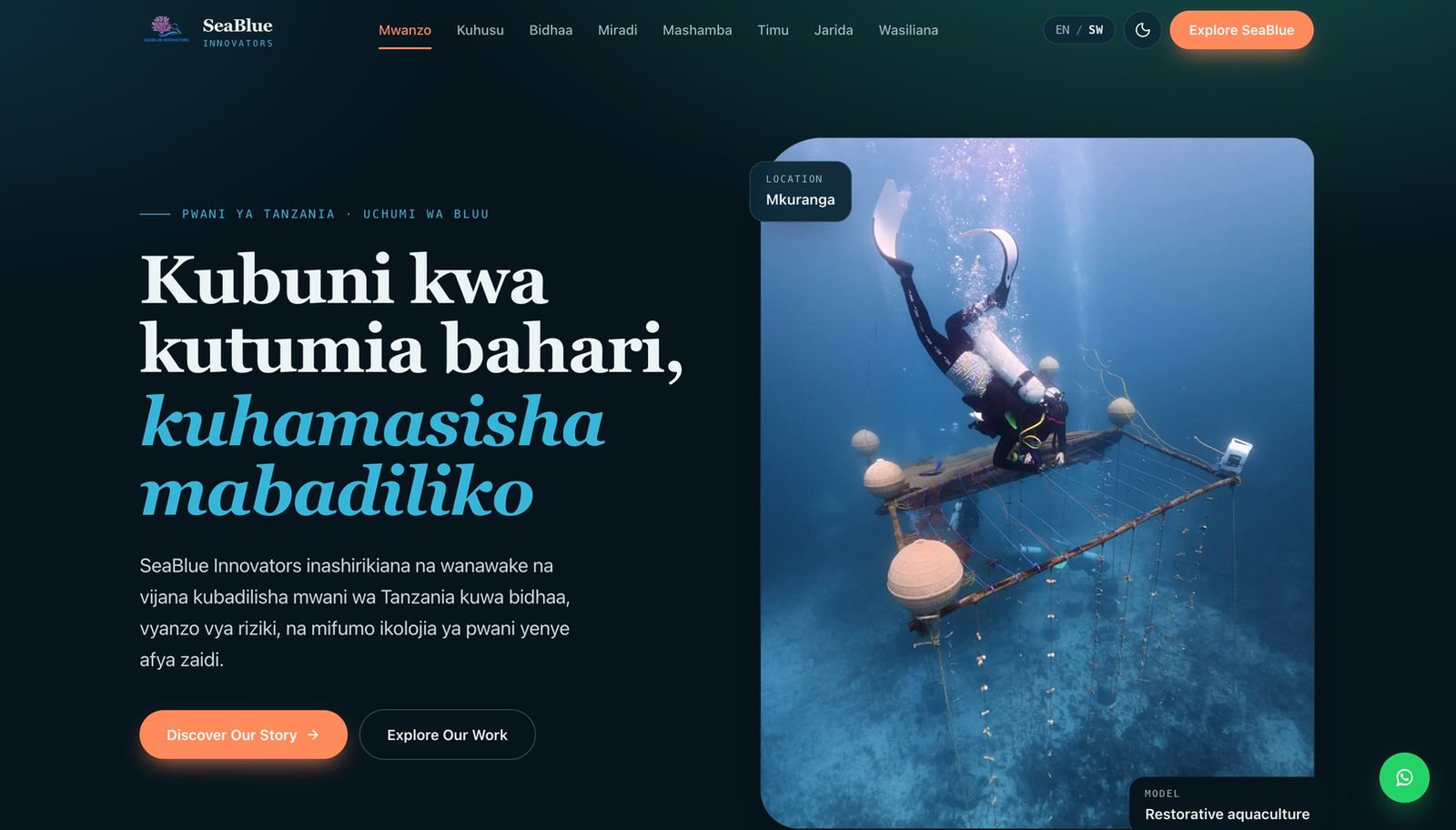 A darkmode swahili version of Seablue Innovators Hero section